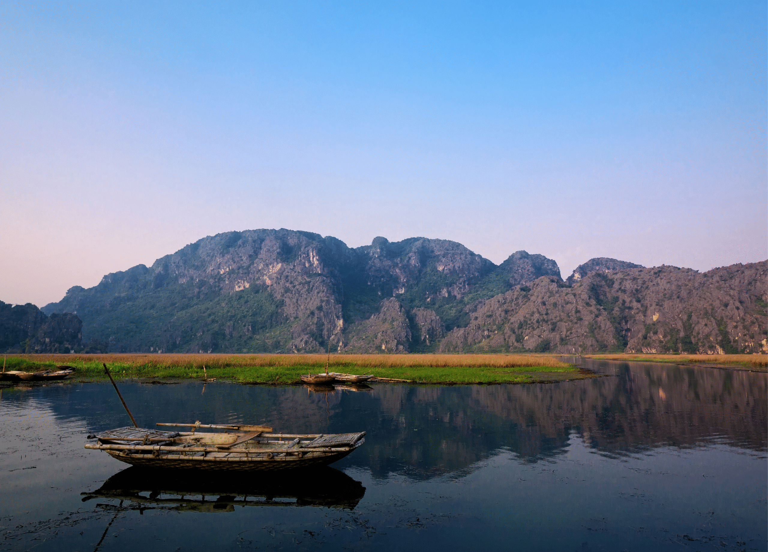 Xanh lá Màu be Hữu cơ Hoài cổ Nhiệt đới Bài thuyết trình hướng dẫn về nhãn hàng